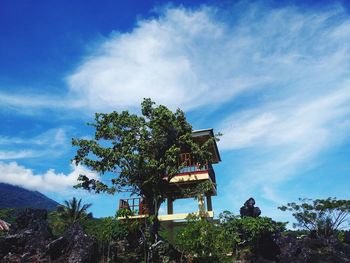 Low angle view of tree and building against sky