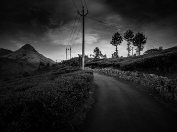 Road amidst plants against sky