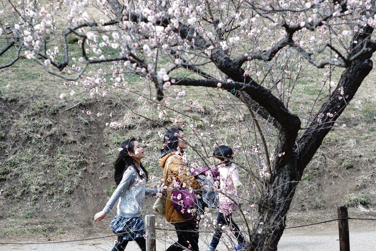 tree, lifestyles, leisure activity, flower, person, tree trunk, growth, branch, nature, standing, park - man made space, casual clothing, men, day, holding, outdoors, togetherness