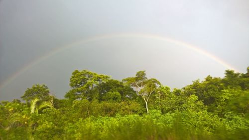 Scenic view of rainbow against sky