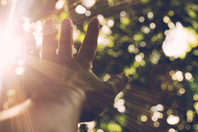 Cropped image of human hand