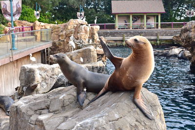 View of sea in zoo