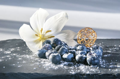 Close-up of white fruit on table