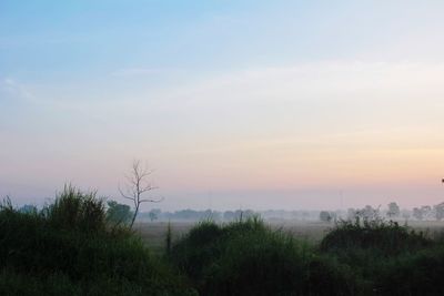 Scenic view of field against sky at sunset