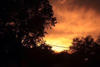 Silhouette of tree against sky at sunset