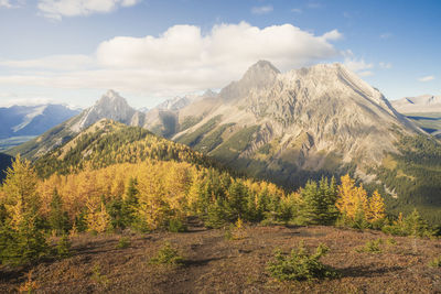 Pocaterra ridge in autumn in kananaskis alberta, canada