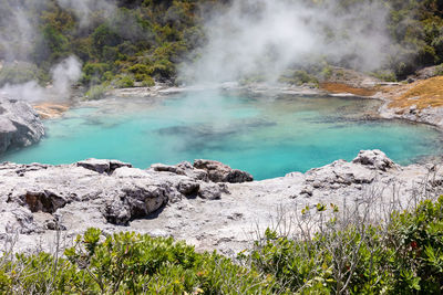 Scenic view of waterfall