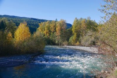 Scenic view of river in forest against sky during autumn