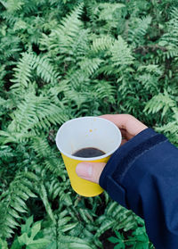 Woman holding coffee cup on plant