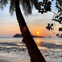 Scenic view of sea during sunset