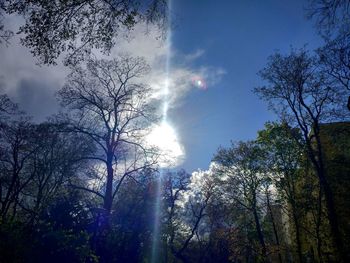 Low angle view of trees against sky