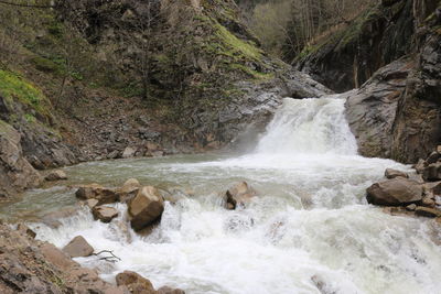 Scenic view of waterfall in forest