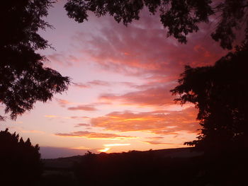 Silhouette trees against sky during sunset