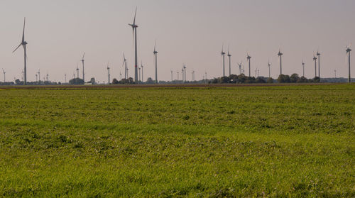 Scenic view of field against clear sky