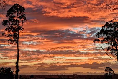 Low angle view of silhouette trees against dramatic sky