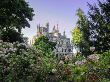 View of trees and buildings in city