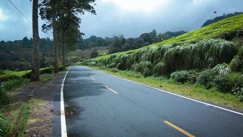 Road amidst trees against sky