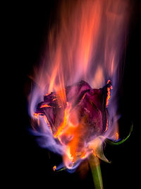 Close-up of illuminated fire against black background