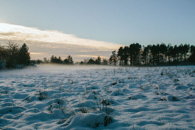 Trees on snow covered field against clear sky