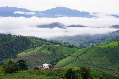 Scenic view of landscape against sky