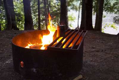 Blurred motion of burning fire pit by trees on field