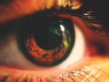 Close-up portrait of human eye