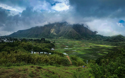 Scenic view of agricultural field against sky