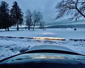 Snow covered plants by trees against sky