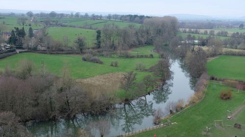 High angle view of river amidst trees on field