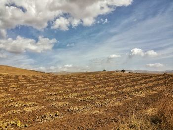 View of fields against cloudy sky