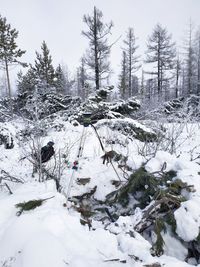 Snow covered trees on field against snowcapped mountains