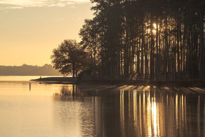 Silhouette trees by lake against sky during sunset