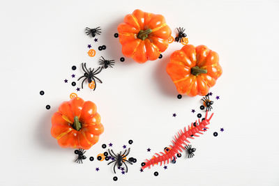 High angle view of orange flowers against white background