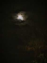 Silhouette of tree against moon at night