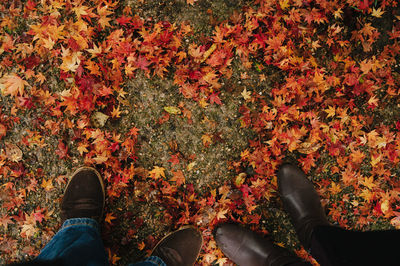 Low section of person in autumn leaves