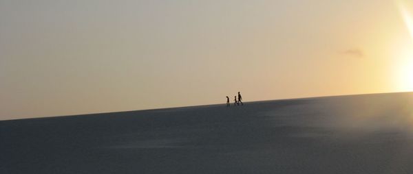 Silhouette people on land against sky during sunset