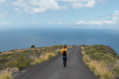 Rear view of woman looking at sea against sky