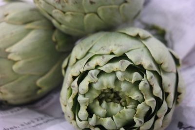 Close-up of artichokes