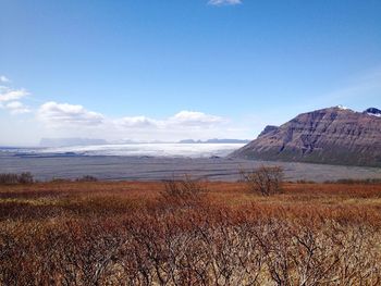 Scenic view of landscape against sky