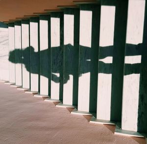 Shadow on tiled floor