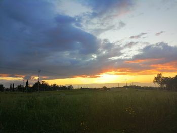 Scenic view of field against sky during sunset