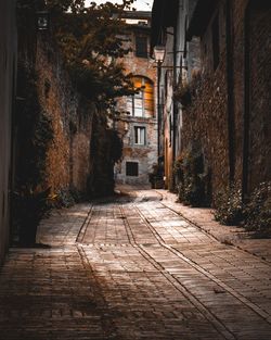 Alley amidst buildings in city