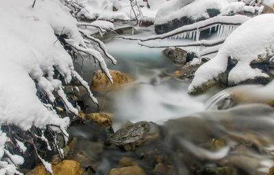 winter