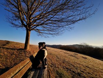 Woman with dog sitting by bare tree against sky