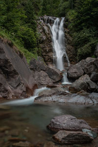 Scenic view of waterfall in forest