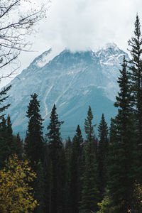 Scenic view of snow covered mountains against sky