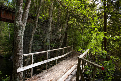 Footbridge over footpath amidst trees in forest