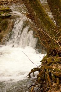 Scenic view of waterfall