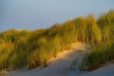 natural environment