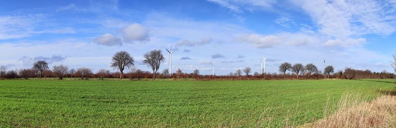 Scenic view of agricultural field against sky